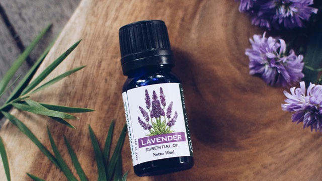 lavender essential oil for skin care